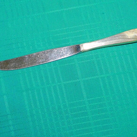 1847 Rogers Bros. Daffodil (1950) modern hollow grille knife VGU - Picture 3 of 5